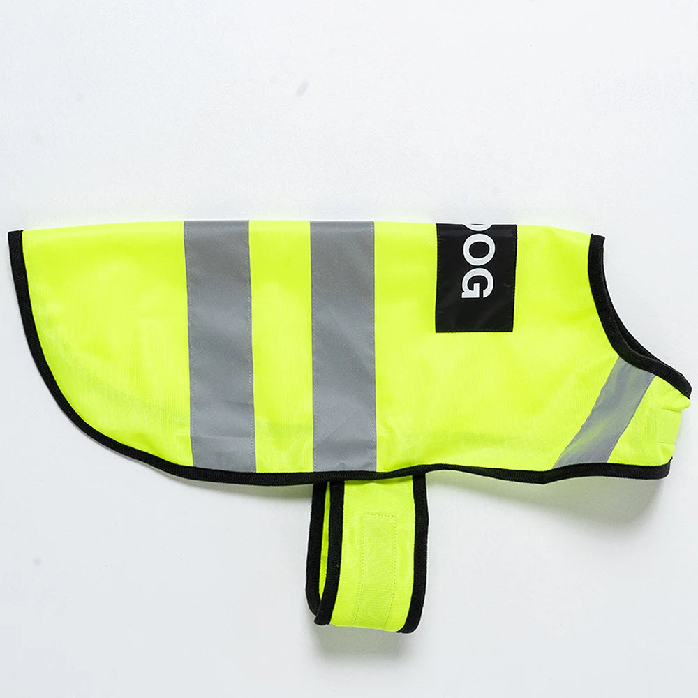 Reflexväst för din hund